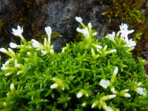 R0010982