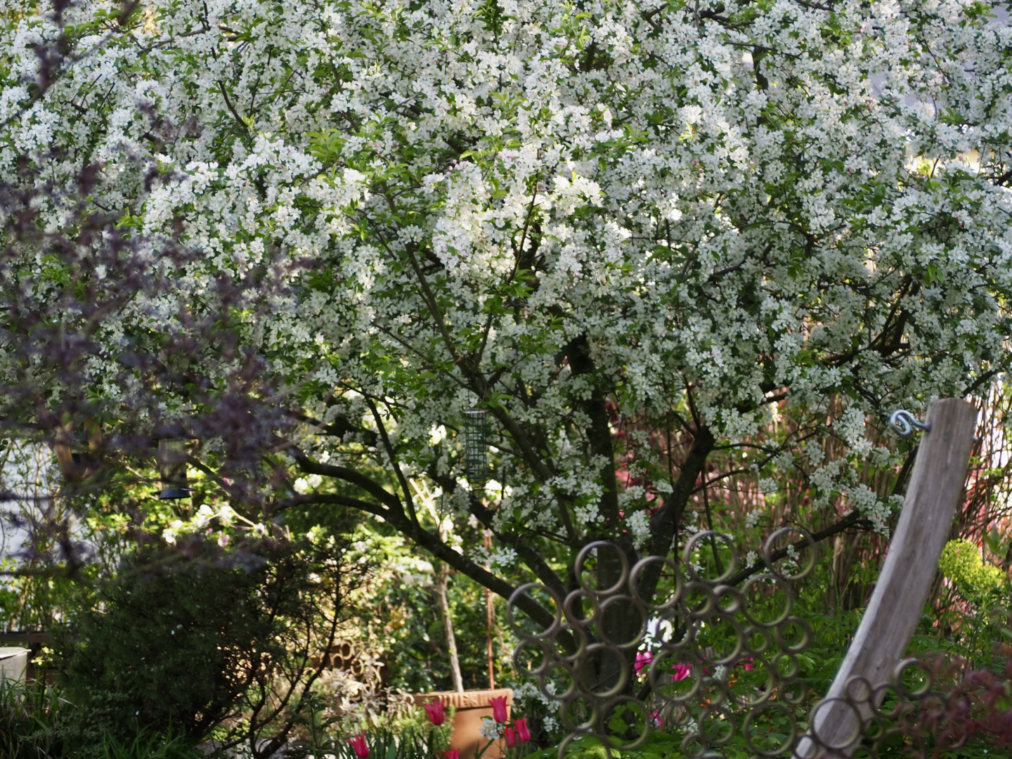 P4183982