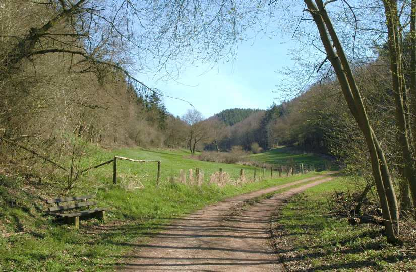 Mühlenweg
