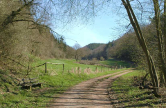 Mühlenweg