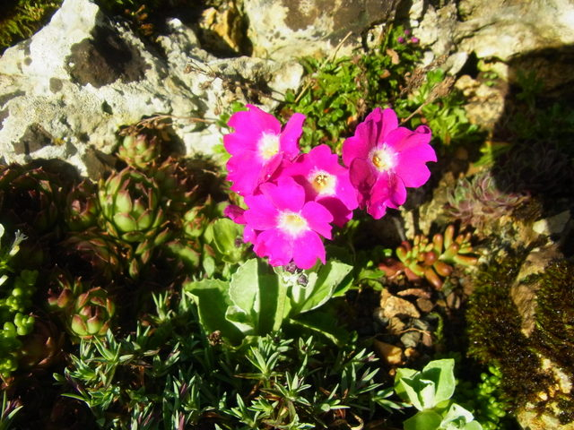 R0011187