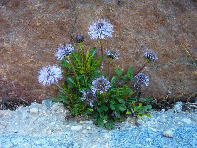 R0011235