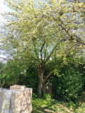 IMG_20260426_171645