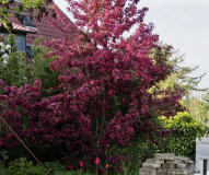 P4284038
