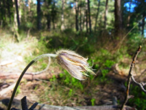 R0011341