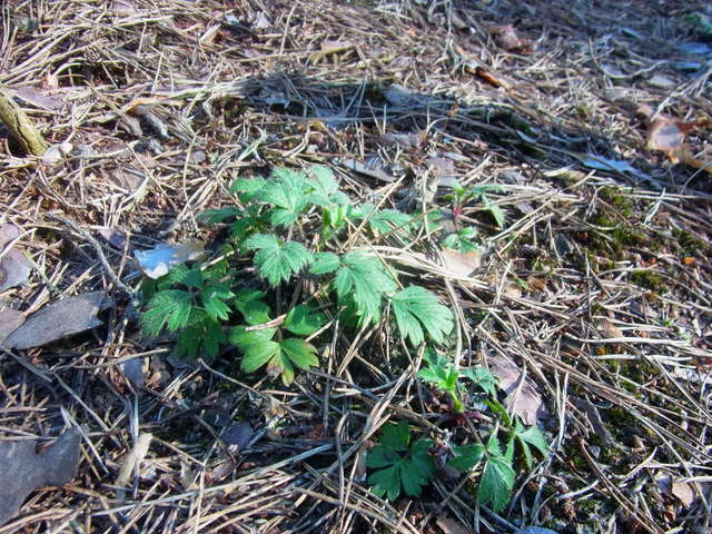 R0011340