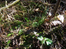 R0011338