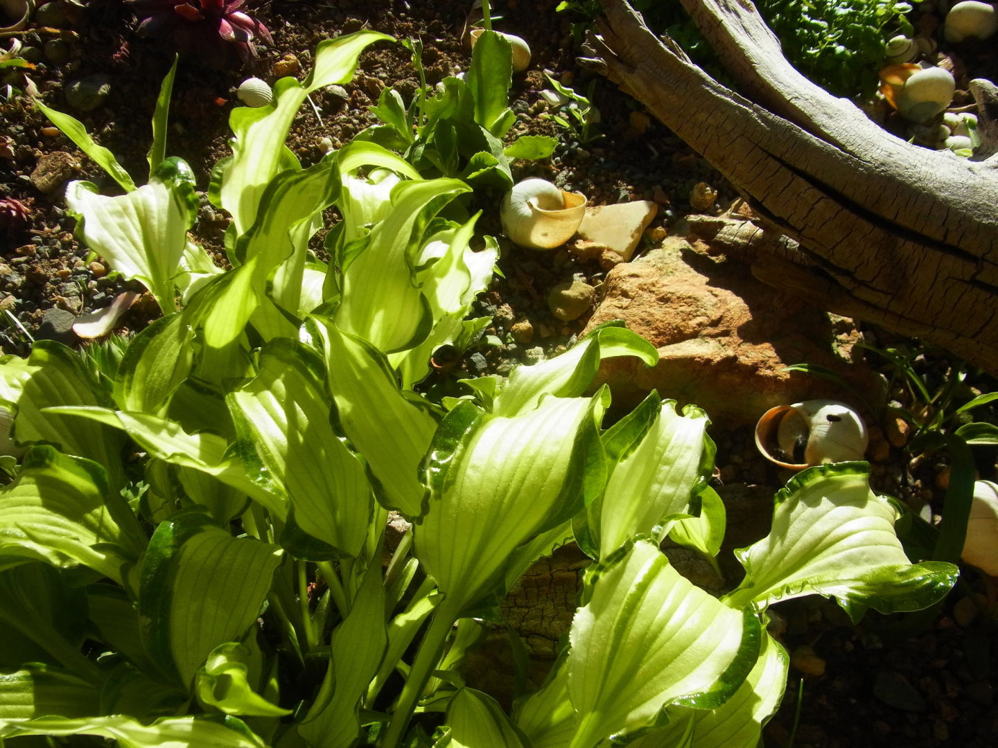 R0011403