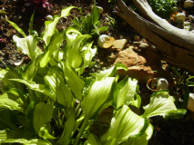 R0011403