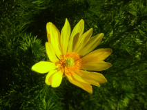 R0011397
