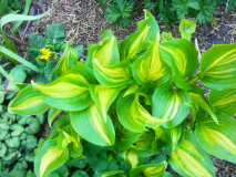 R0011377