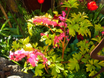 R0011359