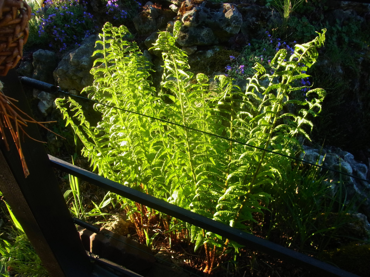 R0011346