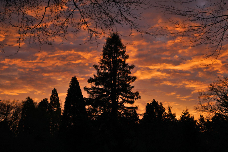 05_26_01_morgenfeuer