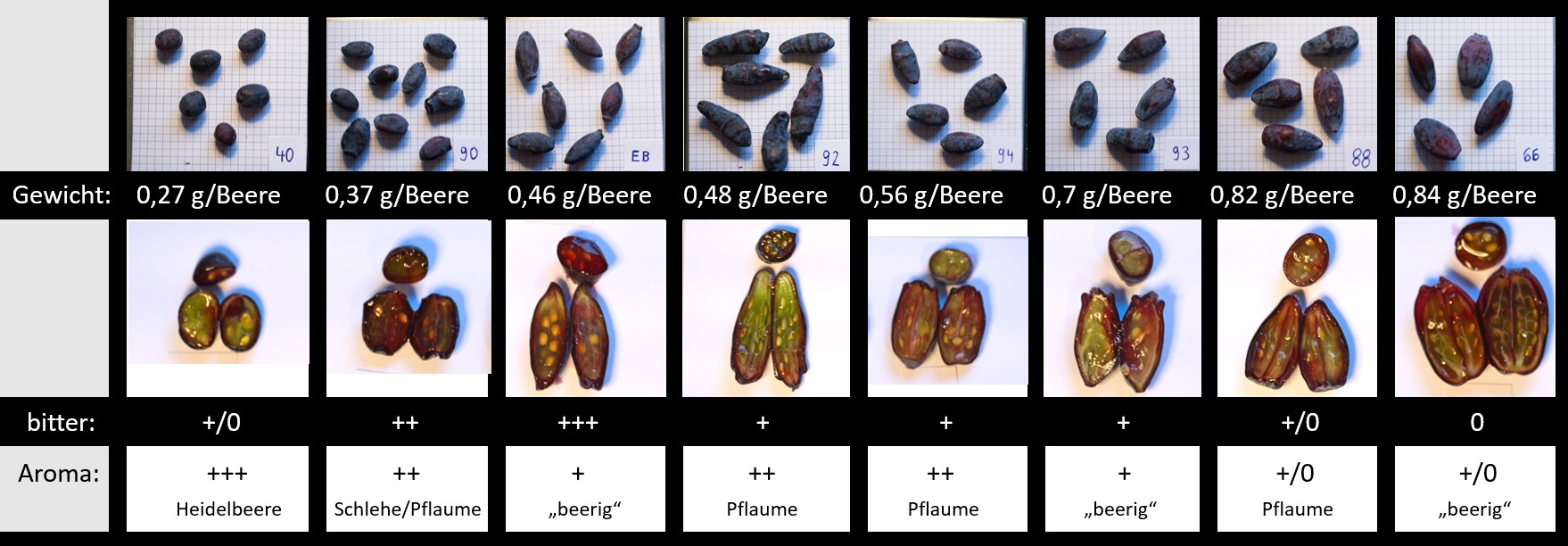 Maibeerenübersicht_260519