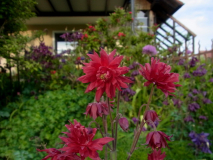 R0011477