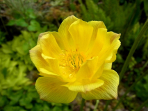 R0011498