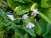R0011495