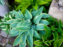 R0011581