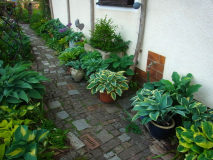 R0011552