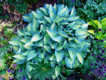 R0011544