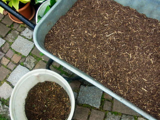 Bild