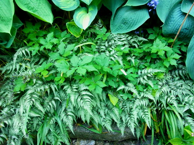 R0011578