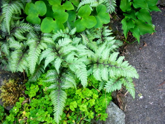 R0011577
