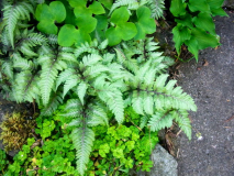 R0011577