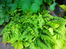 R0011576