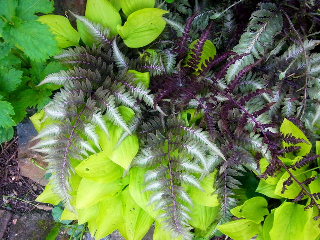 R0011575
