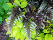 R0011575