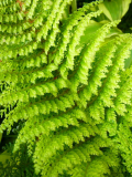 R0011568