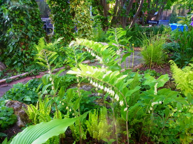 R0011566