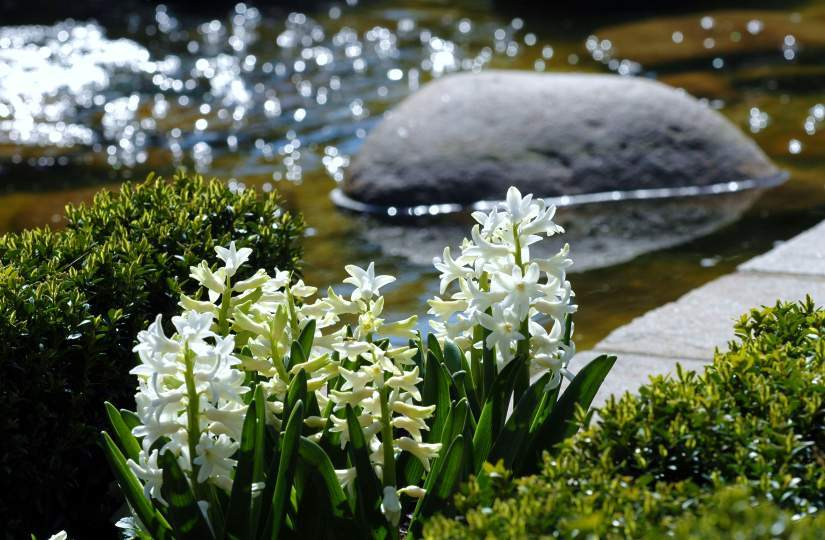 Gartenblicke April 2007 1