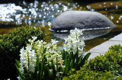 Gartenblicke April 2007 1