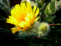 R0011560