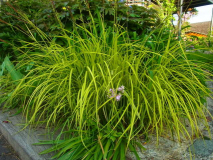 R0011535