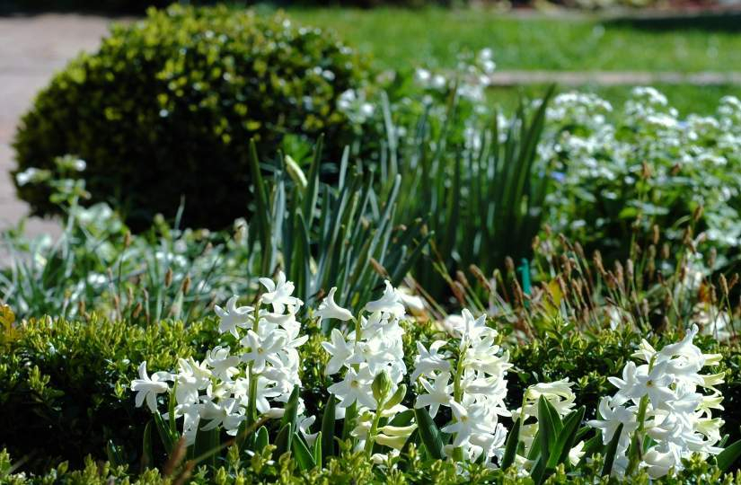 Gartenblicke April 2007 3
