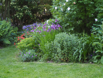P5244104