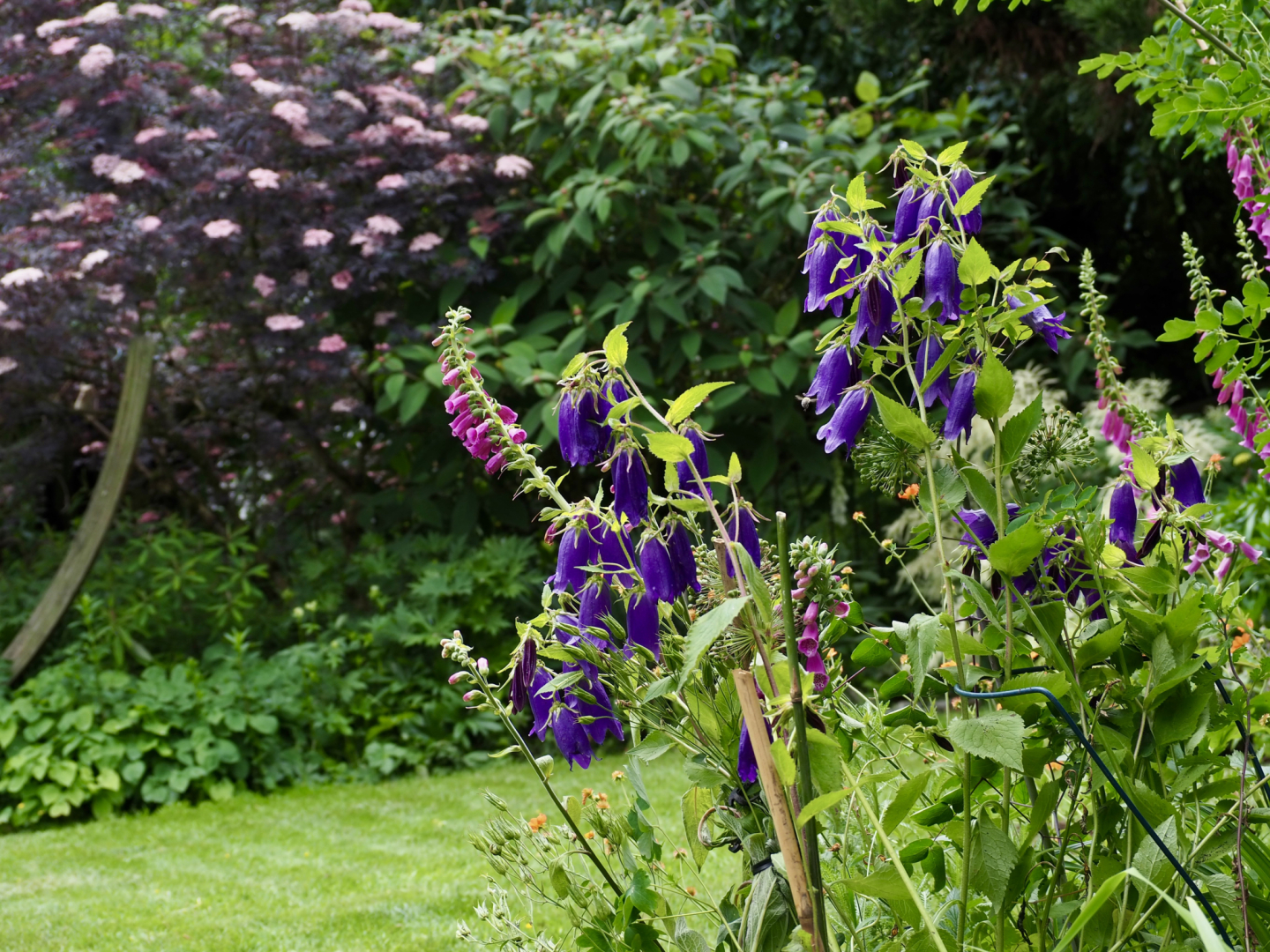 P6054240