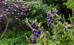 P6054240