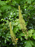 P6064287