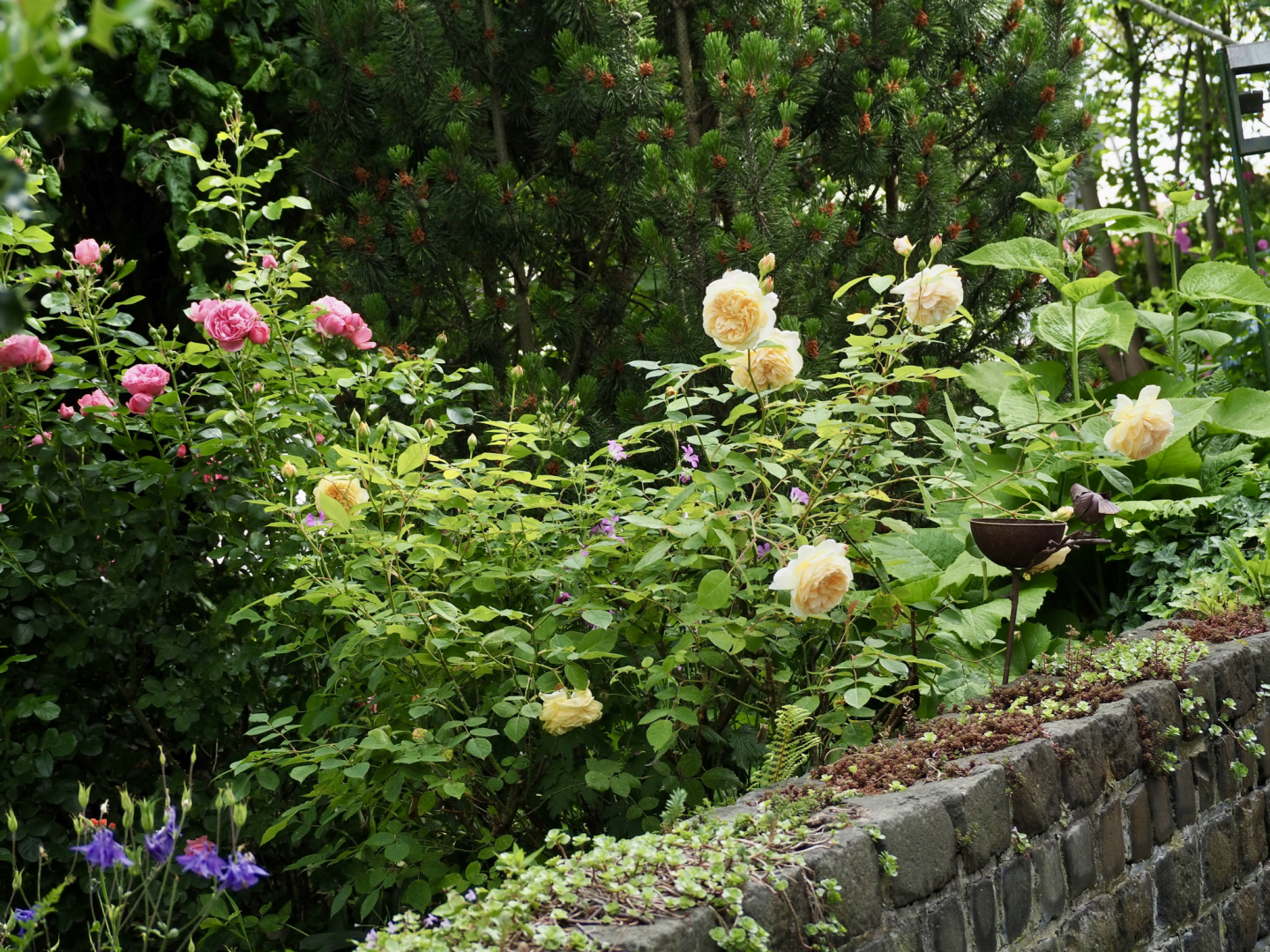 P6064281