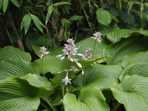 P6144318