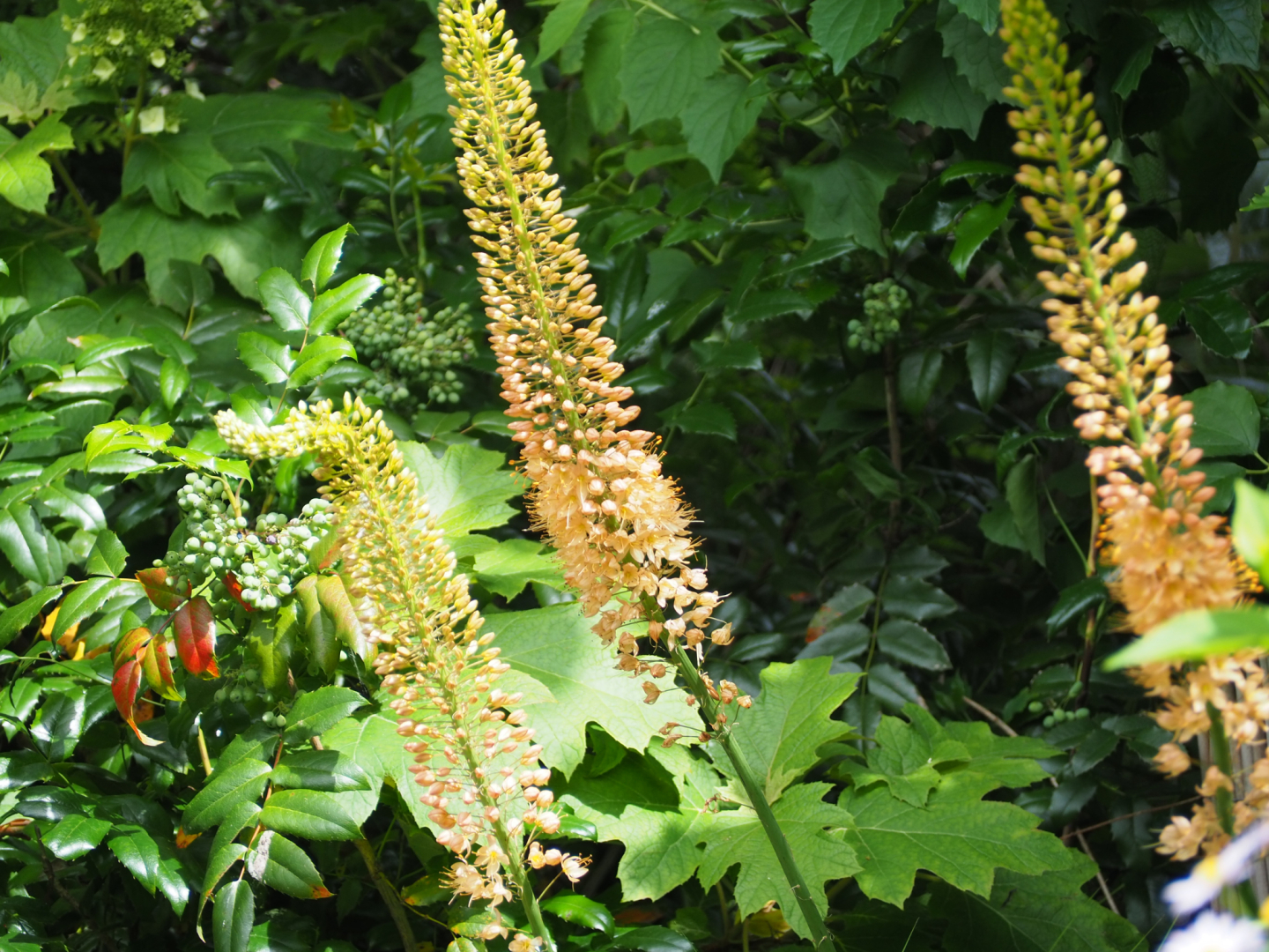 P6144301