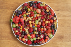 Quer-durch-den-Beerengarten