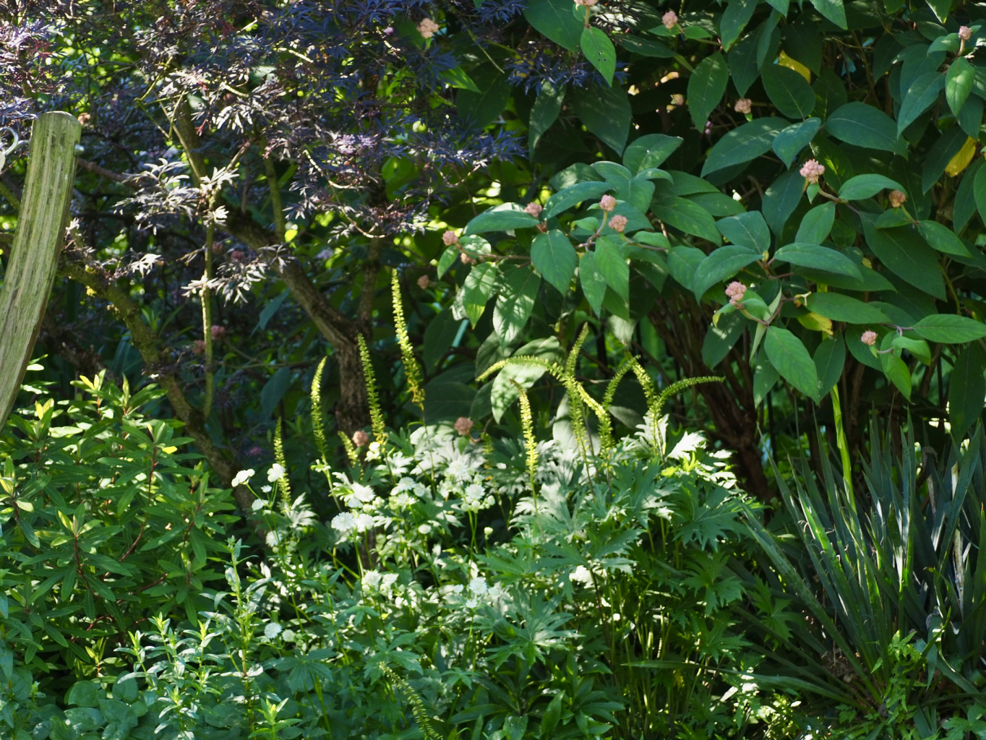P6224354