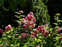 P6224349
