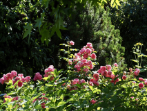 P6224348